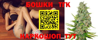 стаф Свободный