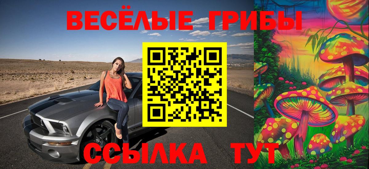 Псилоцибиновые грибы GOLDEN TEACHER  Галлюциногенные грибы MAGIC MUSHROOMS  Обнинск  Вход с VPN 